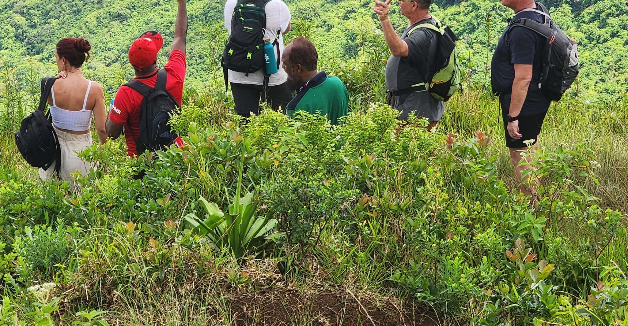 Le Pouce, Private Mountain Guided Hike with Snacks & Drinks - Housity