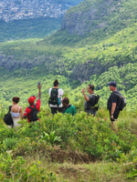 Le Pouce, caminata guiada de montaña privada con bocadillos y bebidas - Housity