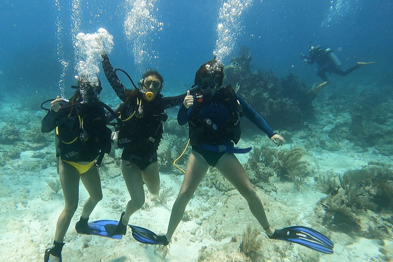 Cancún: Curso Certificación de buceo Open Water