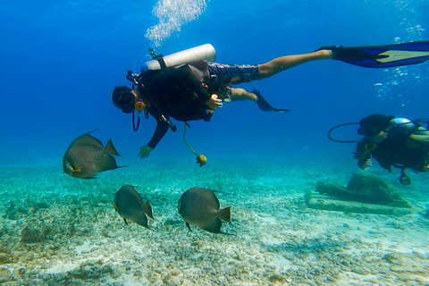 Cancún: Curso Certificación de buceo Open Water