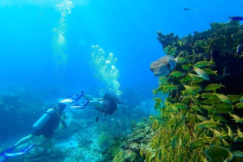 Cancún: Curso Certificación de buceo Open Water
