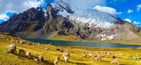Cusco, 7 lagunas de Ausangate Tria de senderismo con el almuerzo - Housity