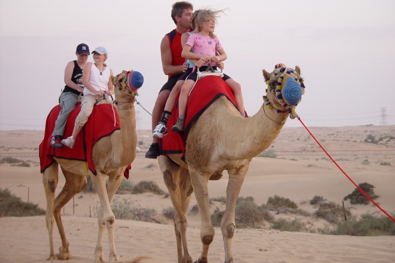 Von Agadir oder Taghazout aus: Kamelritt und Flamingo-Fluss-Tour