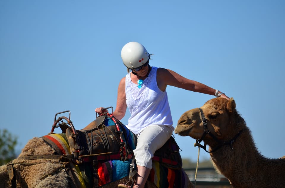 From Agadir or Taghazout: Camel Ride and Flamingo River Tour | GetYourGuide