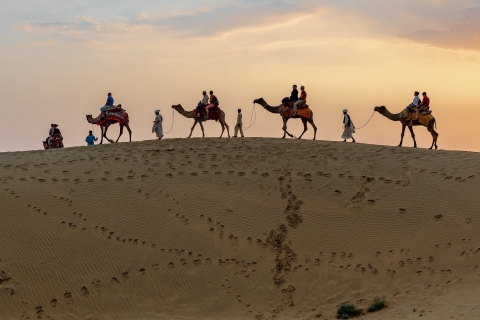 Au départ d'Agadir ou de Taghazout : Promenade à dos de chameau et visite de la rivière Flamingo