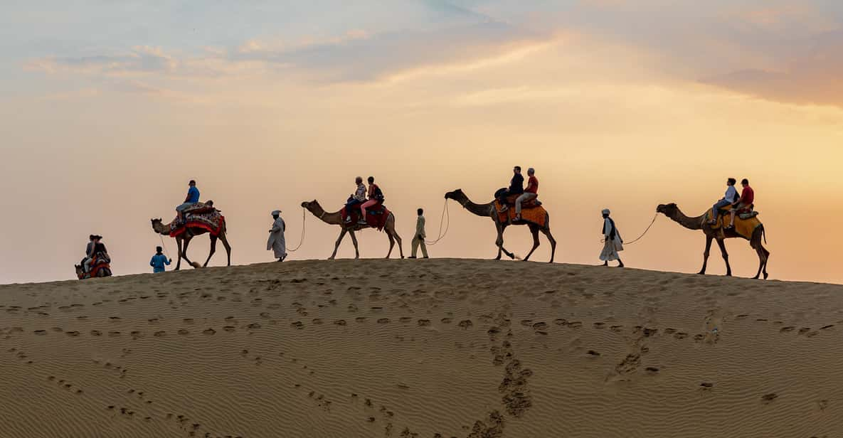 From Agadir or Taghazout: Camel Ride and Flamingo River Tour | GetYourGuide