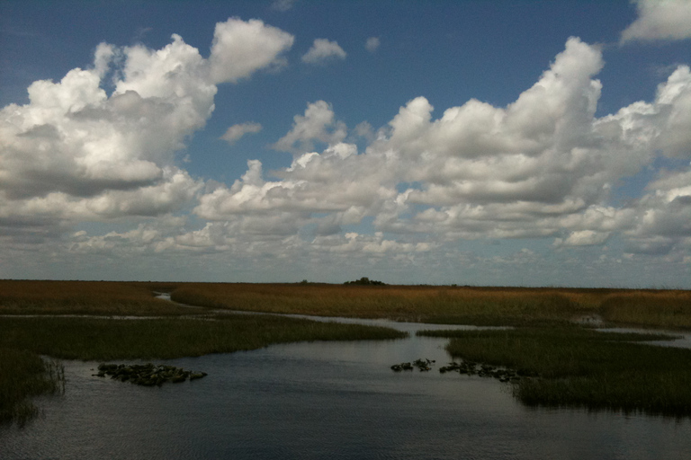 Miami: Original Everglades Airboat Tour & Alligator-Ausstellung