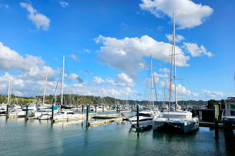 Bahía de las Islas - MiniexcursiónBahía de las Islas - Mini tour