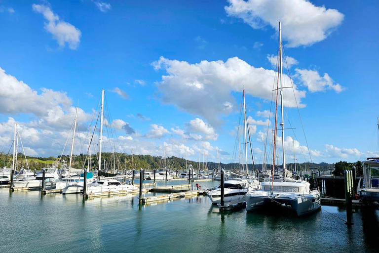 Bahía de las Islas - MiniexcursiónBahía de las Islas - Mini tour