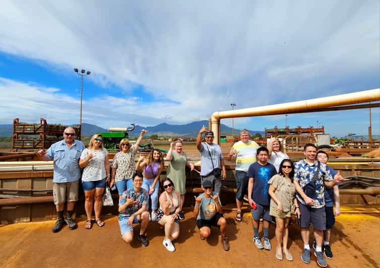 Oahu Island The North Shore Dole Pineapple Farm Tour GetYourGuide