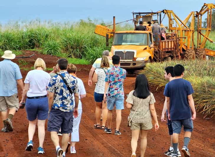 Oahu Island The North Shore Dole Pineapple Farm Tour GetYourGuide