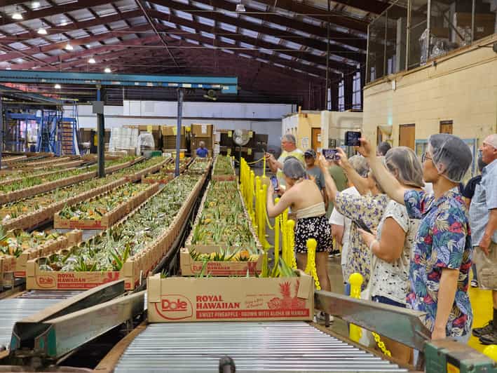 Oahu Island The North Shore Dole Pineapple Farm Tour GetYourGuide