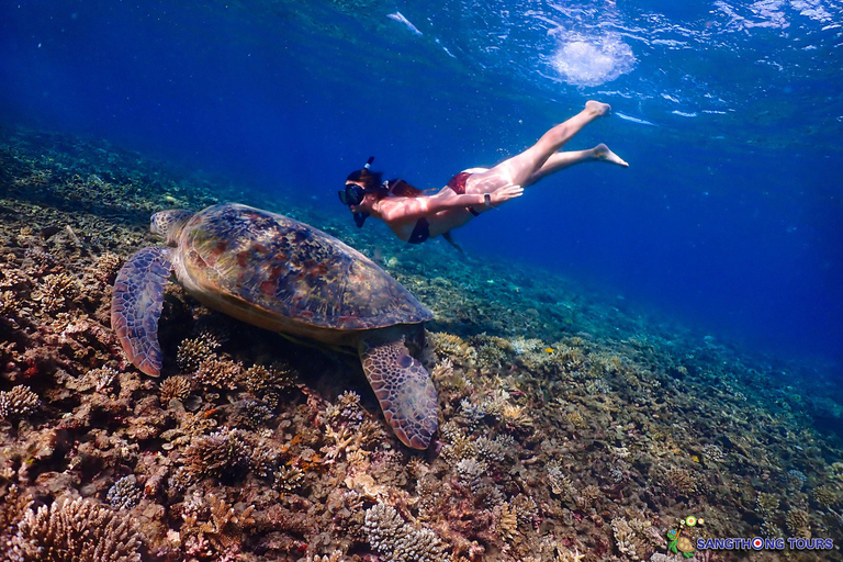 Koh Tao: Excursão de um dia com mergulho com snorkel nas ilhas e almoçoKoh Tao: Ilhas Snorkeling Destaques Day Tour &amp; Almoço