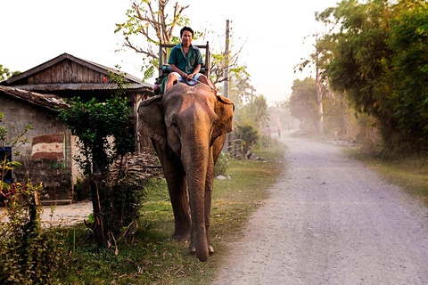 3-tägige Nepal Chitwan Dschungel Safari Tour ab Kathmandu