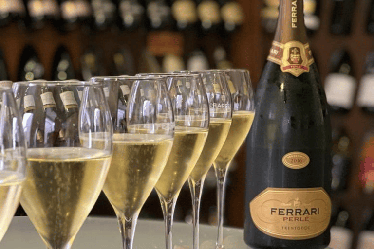 Varenna: Wine Tasting and Entry Ticket to Castello di Vezio