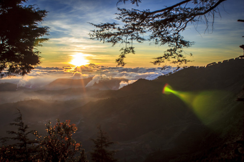 Depuis Yogyakarta : La beauté de Dieng Excursion guidée d'une journée