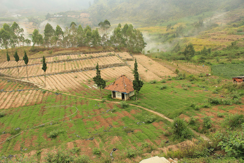 Depuis Yogyakarta : La beauté de Dieng Excursion guidée d'une journée