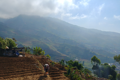 Depuis Yogyakarta : La beauté de Dieng Excursion guidée d'une journée