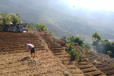 Depuis Yogyakarta : La beauté de Dieng Excursion guidée d'une journée