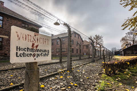 Från Krakow: Auschwitz-Birkenau-tur med transport