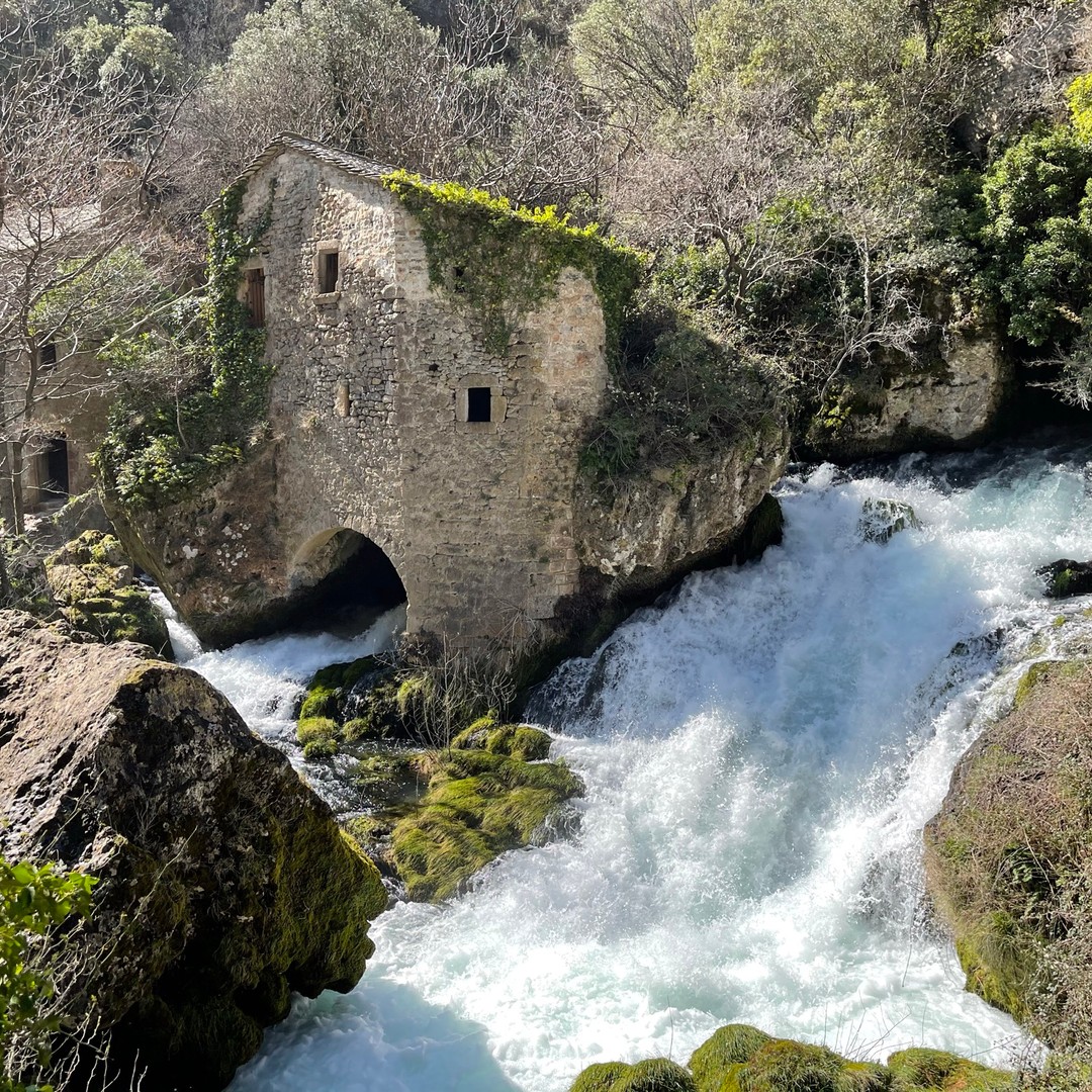 Galería de fotos para redes