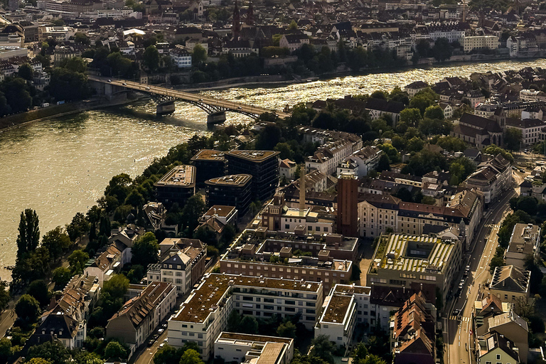 From Zurich: Basel Art, Rhine & Old Town Private Experience