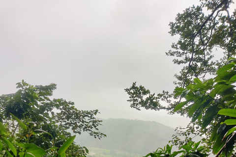 Colombo: Tour delle piantagioni di tè e delle tenute di gomma con pranzo