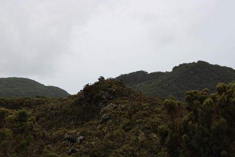 From Angra: 3-Hour Volcano Tour