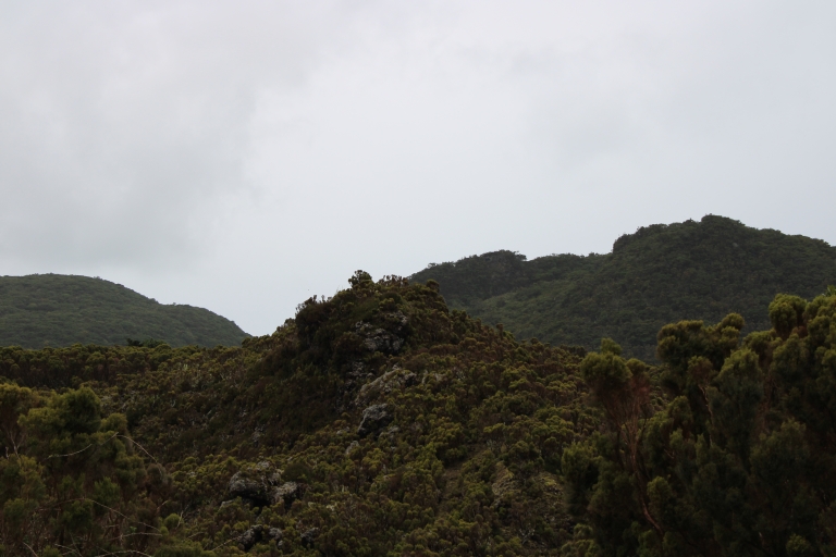 Desde Angra: tour al volcán de 3 horas