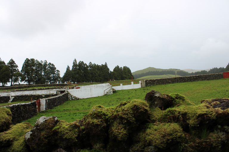 From Angra: 3-Hour Volcano Tour