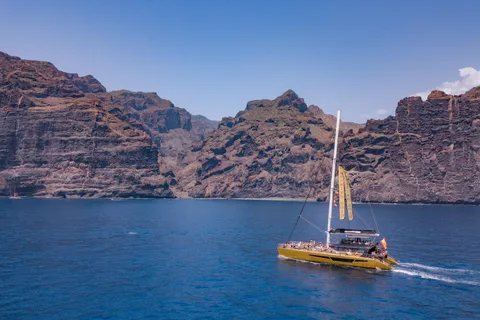 Costa Adeje: Masca and Los Gigantes Whale Watching Cruise