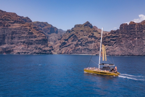 Costa Adeje: Masca and Los Gigantes Whale Watching Cruise Tour with Pickup in the South