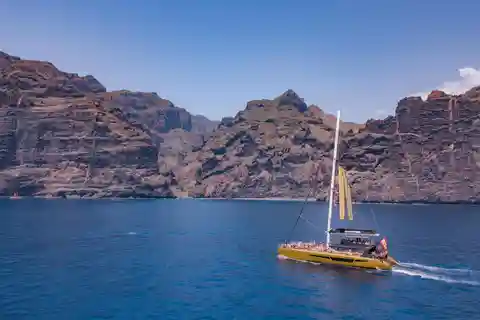 Costa Adeje: Masca and Los Gigantes Whale Watching Cruise