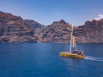 Costa Adeje: Crociera per avvistare le balene a Masca e a Los Gigantes