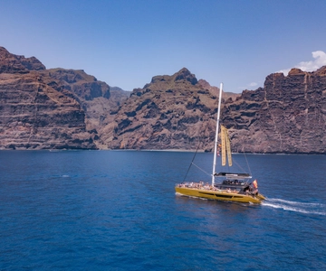Costa Adeje: Masca and Los Gigantes Whale Watching Cruise