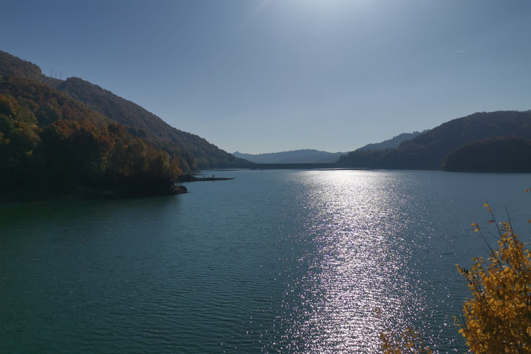 De Bucareste: viagem de um dia às aldeias dos Cárpatos e Sinaia