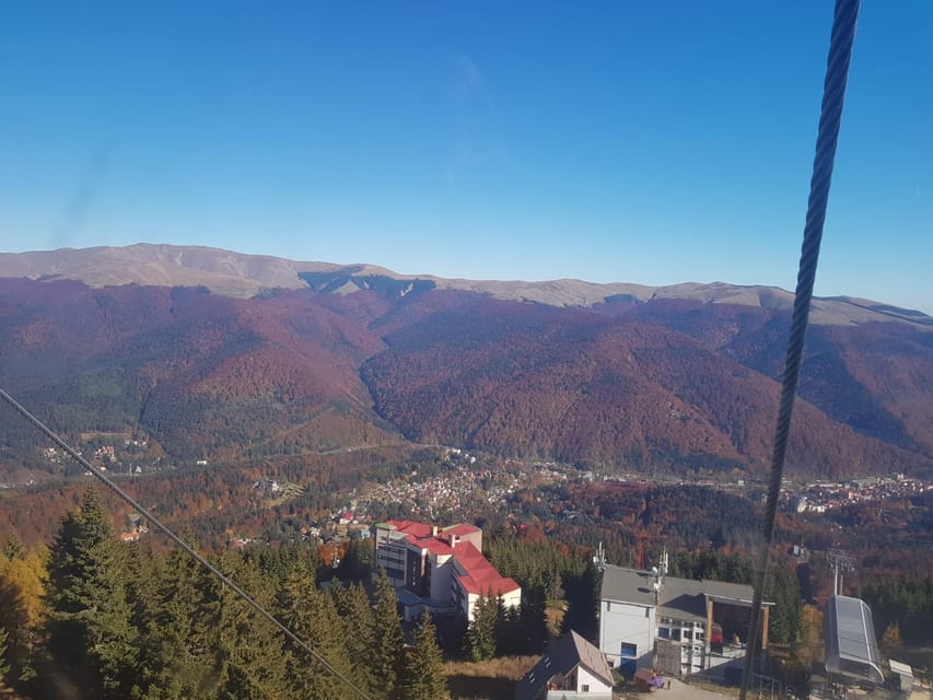 Desde Bucarest Excursión de un día a los Cárpatos y Sinaia GetYourGuide