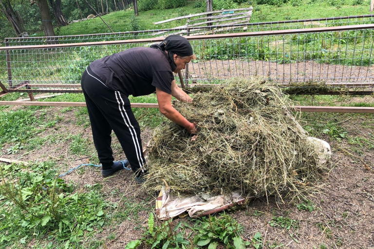 Från Bukarest: Karpaternas byar och Sinaia dagstur