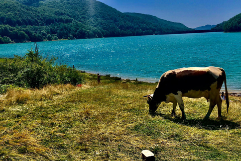 Expérience originale des villages des Carpates et Sinaïa en une journée