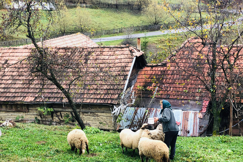 De Bucareste: viagem de um dia às aldeias dos Cárpatos e Sinaia