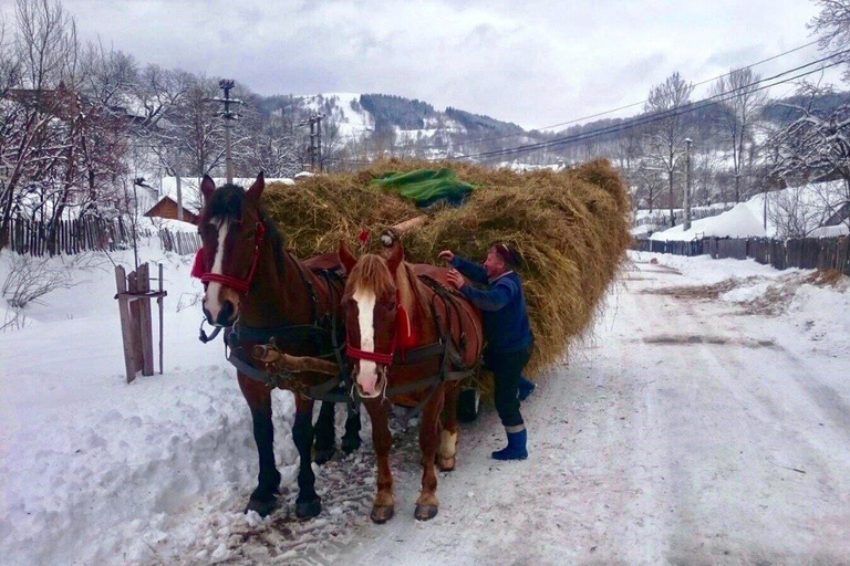 Originele Karpatische dorpservaring en Sinaia op één dag