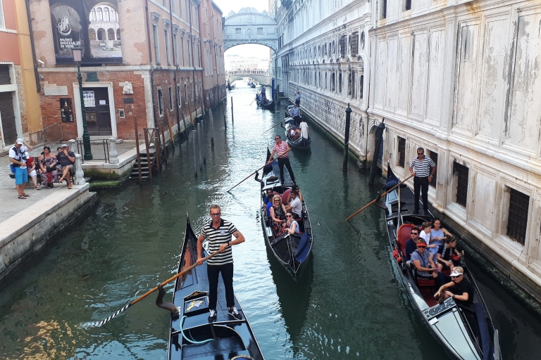 Visite guidée d'une journée à Venise au départ de Milan