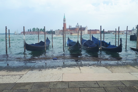 Ganztägige geführte Tour durch Venedig ab Mailand