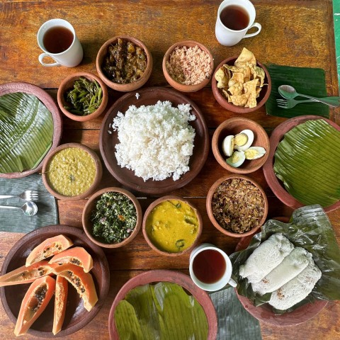 Visit Organic Cooking Classes & Lessons/ Harvested our garden in Sigiriya, Sri Lanka