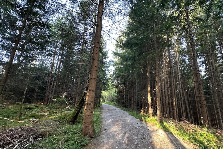 La forêt comme salle d&#039;évasion pour toute la famille