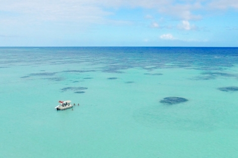 Punta Cana: Bavaro Coastline Cruise mit Schnorcheln