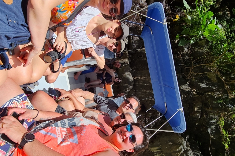 Mauritius: Ile Aux Cerfs Wasserfall, Mittagessen und Schnorcheltour