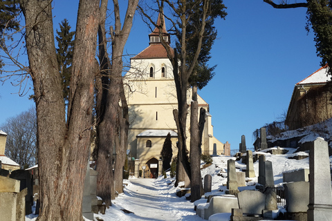 Da Bucarest: Tour privato di 8 giorni di Dracula in più cittàDracula Beyond the Legend - Tour privato della Romania di 8 giorni