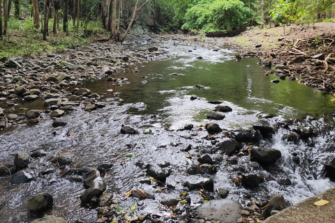 Flic en Flac: Prywatna wycieczka z przewodnikiem po Dolinie Czarnej RzekiPrywatna wycieczka z przewodnikiem po Black River Valley