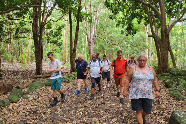 Flic en Flac: Prywatna wycieczka z przewodnikiem po Dolinie Czarnej RzekiPrywatna wycieczka z przewodnikiem po Black River Valley